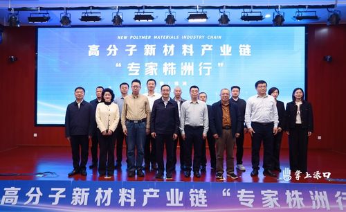 高分子链专家聚首株洲，翎钰科技引领新材料产业创新发展
