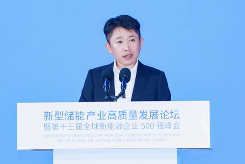 新型储能强，则新型电力系统强 从协鑫集团朱钰峰的视角看翎钰科技的发展