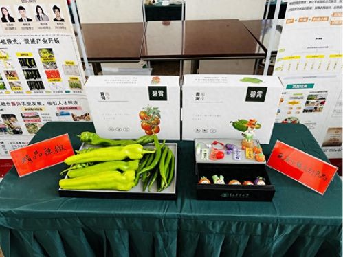 尾菜变宝 苹果富硒 青年学子秀农研成果，拼多多以赛促研助乡村振兴